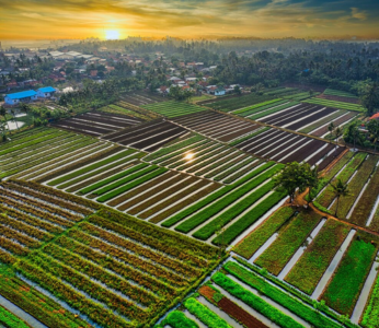 Agricultural Land